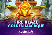 Golden Macaque
